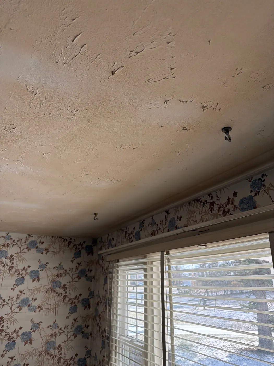Thermal imaging during water damage assessment in Smith Valley residence